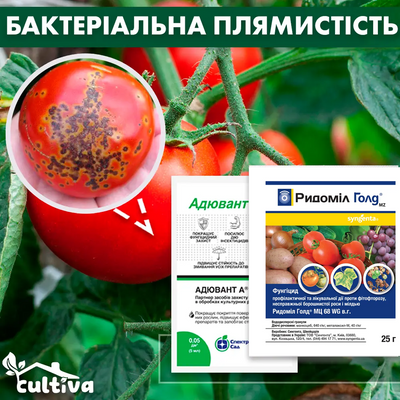 Бактеріальна плямистість на томатах – комплект захисту bakt-plam-1 фото
