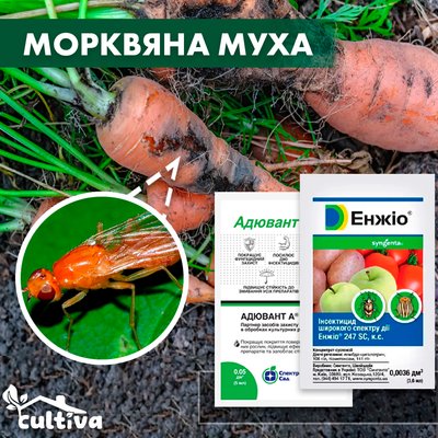 Морквяна муха - комплект захисту morkv-muha-1 фото