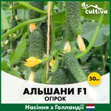 Огірок Альшани F1, 50 шт, Голландія alsh-50 фото