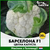 Цветная капуста Барселона F1, 20 шт, Голландские семена 0016020 фото