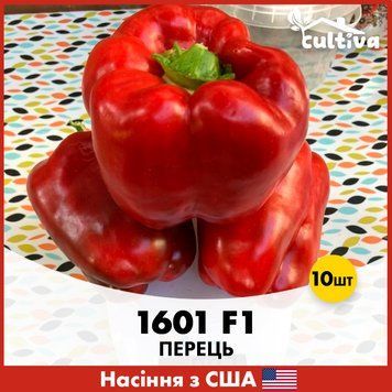 Перець 1601 F1, 10 шт, Американське насіння R51189 фото