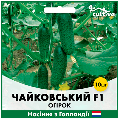 Огірок Чайковський F1, 10 шт, Голландське насіння 00218 фото