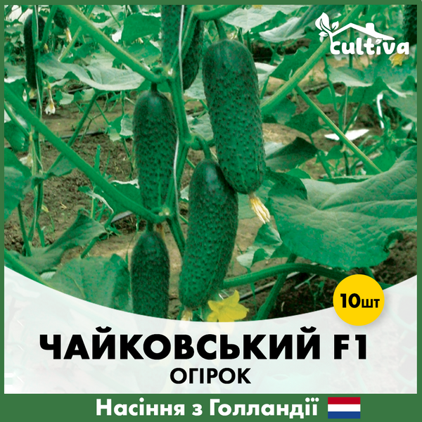 Огурец Чайковский F1, 10 шт, Голландские семена 00218 фото