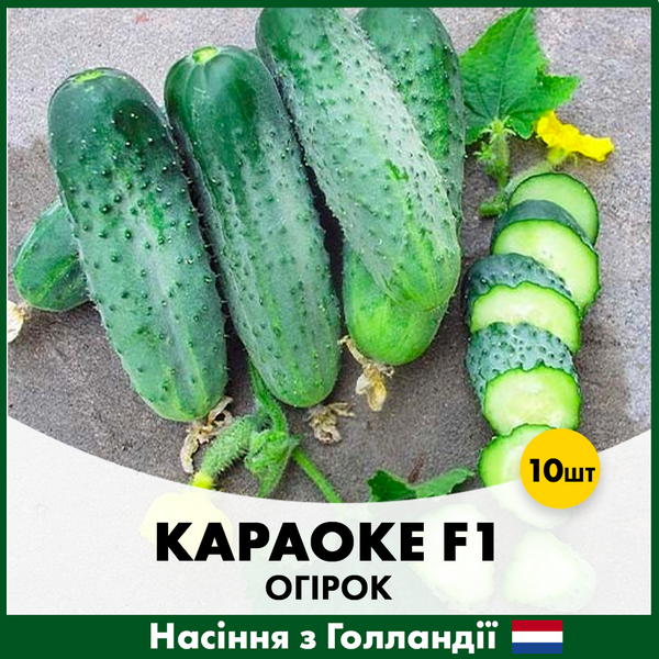 Огірок Караоке F1, 10 шт, Голландське насіння 00170 фото