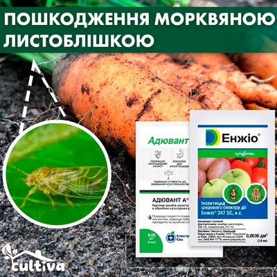 Пошкодження морквяною листоблішкою - комплект захисту morkv-lyst-blishk-1 фото