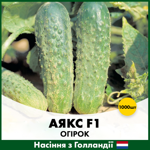 Огірок Аякс F1 1000 шт (Голландське насіння) O20 фото