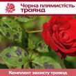Чорна плямистість троянди - комплект захисту