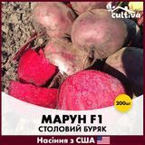 Буряк Марун F1, 200 шт, Американське насіння R51191 фото