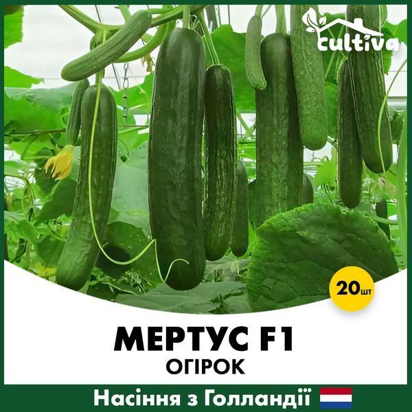 Огурец Мертус F1, 20 шт R51015 фото Огурец Мертус F1, 20 шт R51015 фото