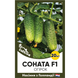 Огірок Соната F1, 20 шт, Голландське насіння 00172 фото 1