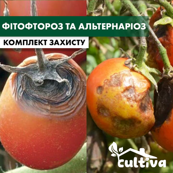 Фитофтороз томатов – комплект защиты на сезон ss-1f фото