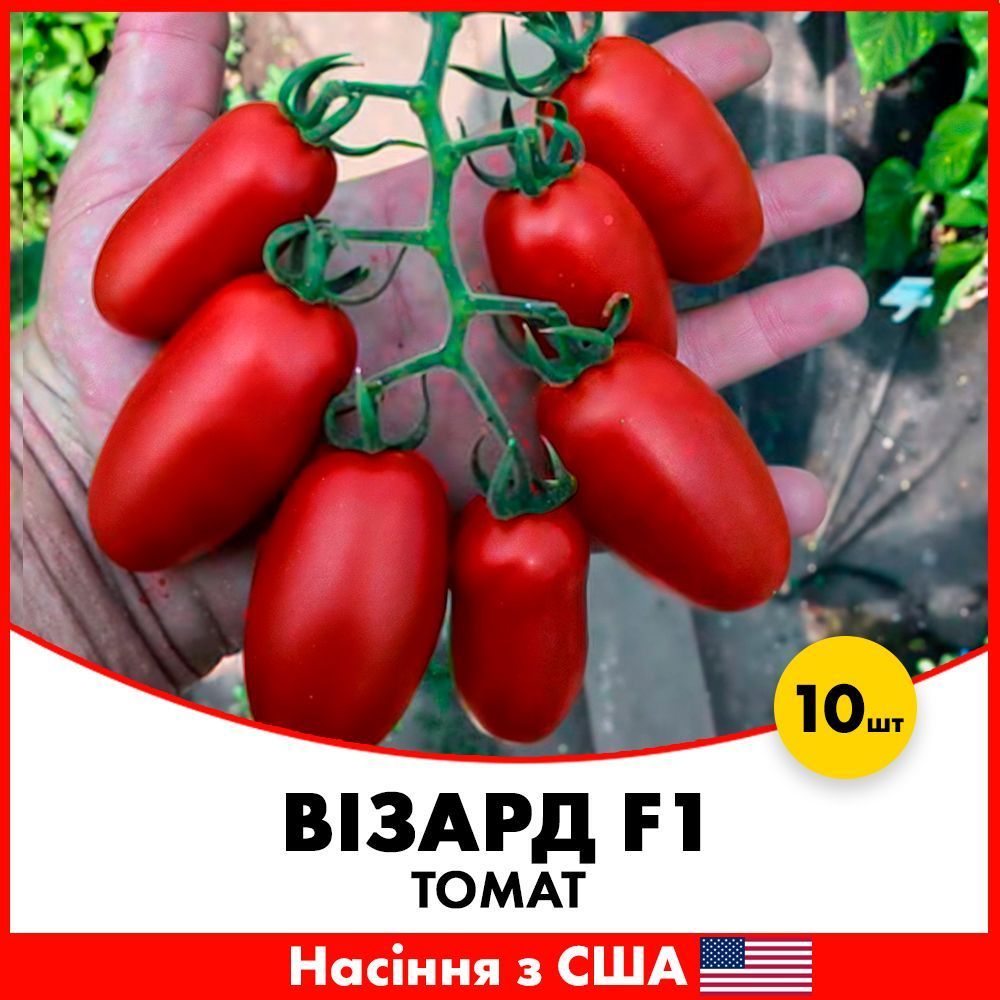 Купити Коктельний Томат Візард F1, 10 шт, Насіння з США в Україні