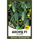 Огурец Аккорд F1, 20 шт, Голландские семена 00174 фото