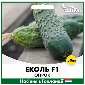 Огірок Еколь F1 50 шт (Голландське насіння) O23 фото