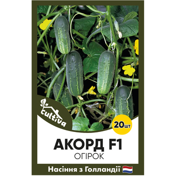 Огурец Аккорд F1, 20 шт, Голландские семена 00174 фото