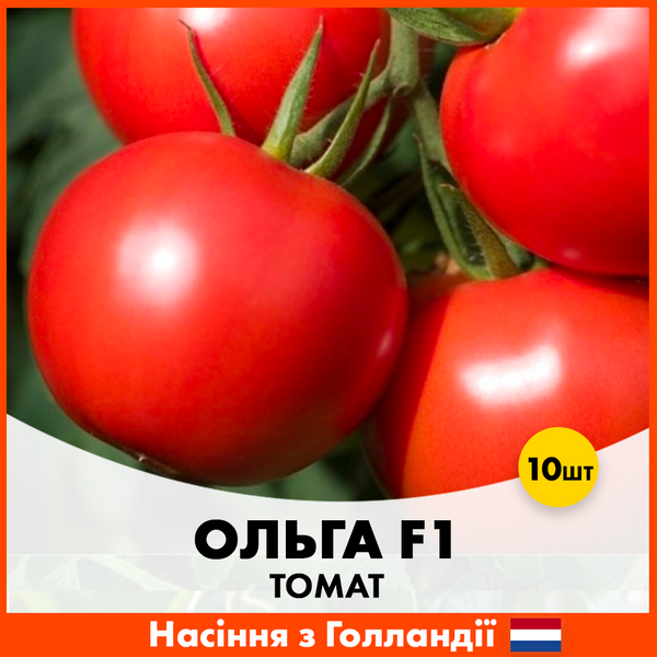 Томат Ольга F1, 10 шт, Голландские семена 00222 фото