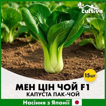 Капуста пак-чой Мен Цін Чой F1, 15 шт, Японське насіння R51277 фото