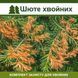 Шютте хвойных &ndash; комплект защиты shc-hv фото 1