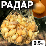 Цибуля сіянка Радар 0,5 кг, Broer, цибуля тиканка з Нідерландів RD05S фото