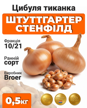 Цибуля сіянка Штуттгартер Стенфілд, 0,5 кг, Broer, Нідерланди SSH1S фото