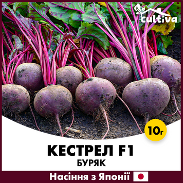 Столовий буряк Кестрел F1, 10 г, Японія 00127-10g фото