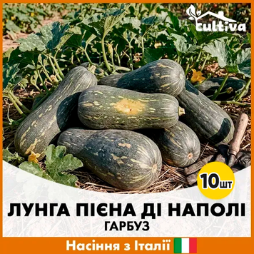 Гарбуз Лунга Пієна Ді Наполі, 10 шт, Італійське насіння R5120125 фото