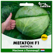 Білоголова капуста Мегатон F1, 20 шт, Голландське насіння