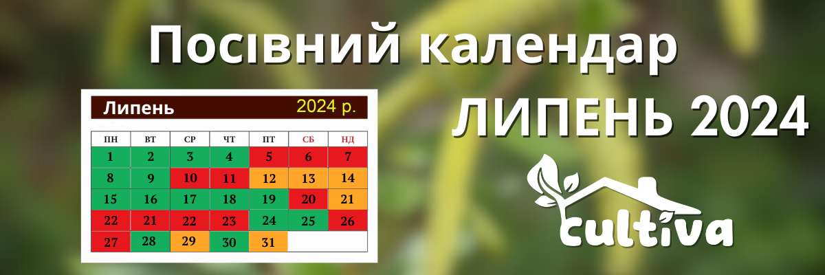 Посівний Календар на Липень 2024  фото