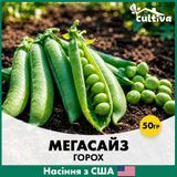 Горох Мегасайз, 50 гр, Американське насіння R51269 фото