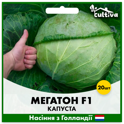 Білоголова капуста Мегатон F1, 20 шт, Голландське насіння 00149 фото