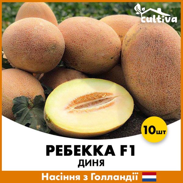 Дыня Ребекка F1, 10 шт, Голландия R50227-10 фото