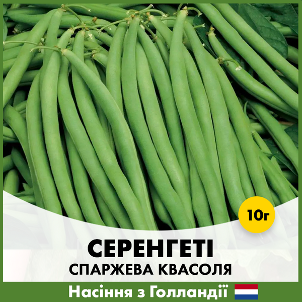 Спаржевая фасоль Серенгеты, 10 г, Голландские семена 00162 фото