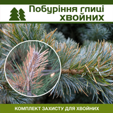Побурение хвойных &ndash; комплект защиты hvoyni-pobyr-glic-1 фото