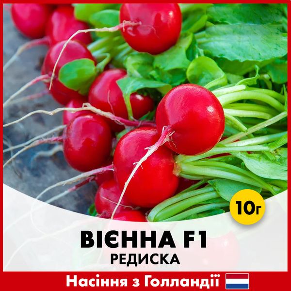 Редис Виенна F1, 10 гр 423-10 фото