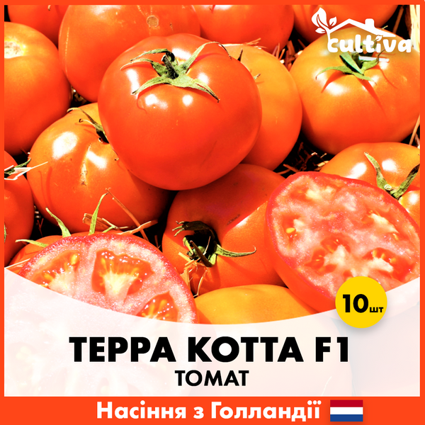 Томат Терра Котта F1 10 шт (Голландские семена) T10 фото