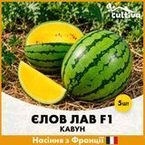 Кавун Єлов Лав F1, 5 шт, Французьке насіння K61000 фото