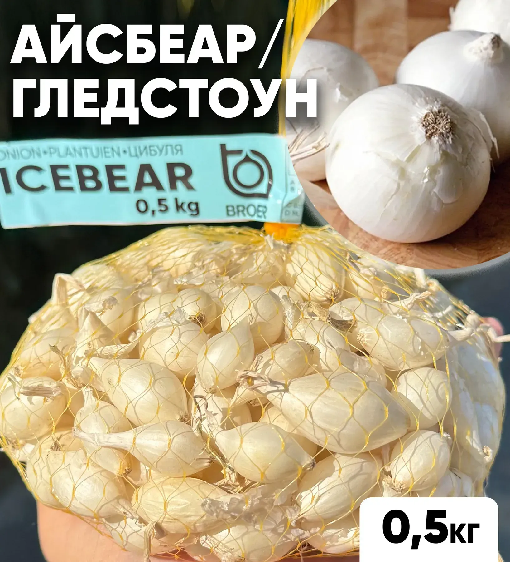Цибуля сіянка Айсбеар 2026 року, 0,5 кг, озима цибуля-сіянка Broer