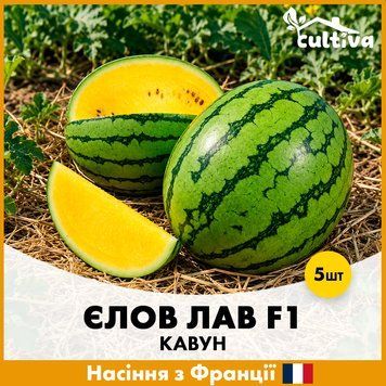 Арбуз Елов Лав F1, 5 шт, Французские семена K61000 фото
