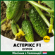 Огірок Астерікс F1, 50 шт, Голландське насіння 00184 фото 2