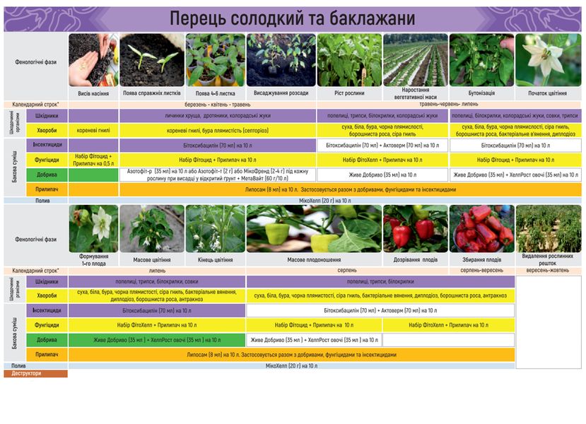 БІО-набір для вирощування перцю та баклажанів, Жива Земля nabi-perets-baklazhan фото