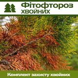 Фитофтороз хвойных &ndash; комплект защиты hvoyni-fito-ftor-1 фото