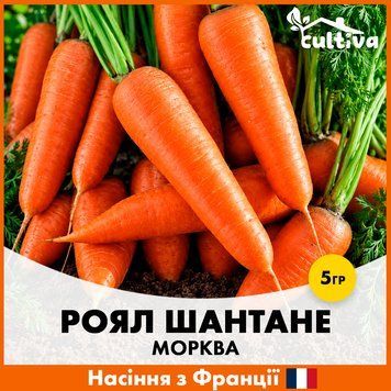 Морковь Роял Шантане, 5 гр, Французские семена K61001 фото