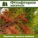 Фітофтороз хвойних - комплект захисту hvoyni-fito-ftor-1 фото 1