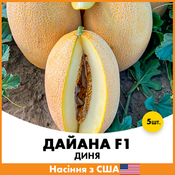 Диня Дайана F1, 5 шт jkl10 фото