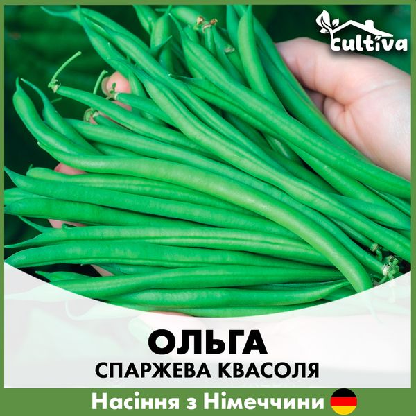 Спаржева квасоля Ольга, 20 гр R50220 фото