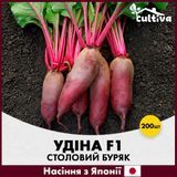 Столовий буряк Удіна F1, 200 шт, Японське насіння R51247 фото