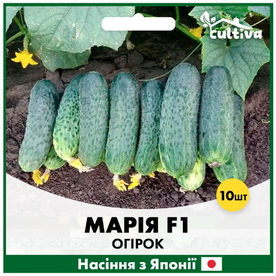 Огірок Марія F1, 10 шт, Японське насіння 00223 фото