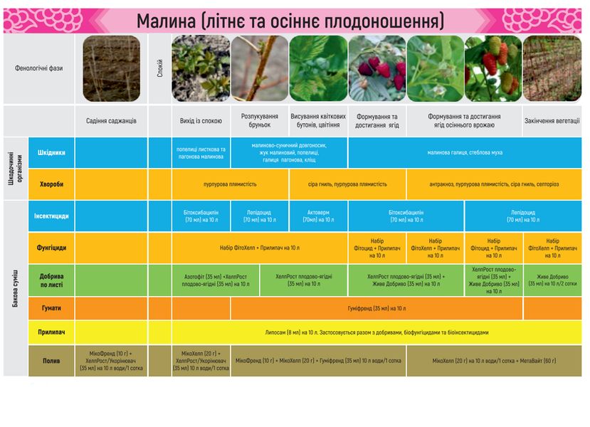 БІО-набір для вирощування малини, Жива Земля bnab-m фото