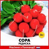 Редис Сора, 3 гр, Голландське насіння R51215 фото