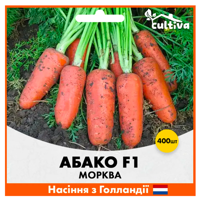 Морква Абако F1 400 шт (Голландське насіння) M1 фото